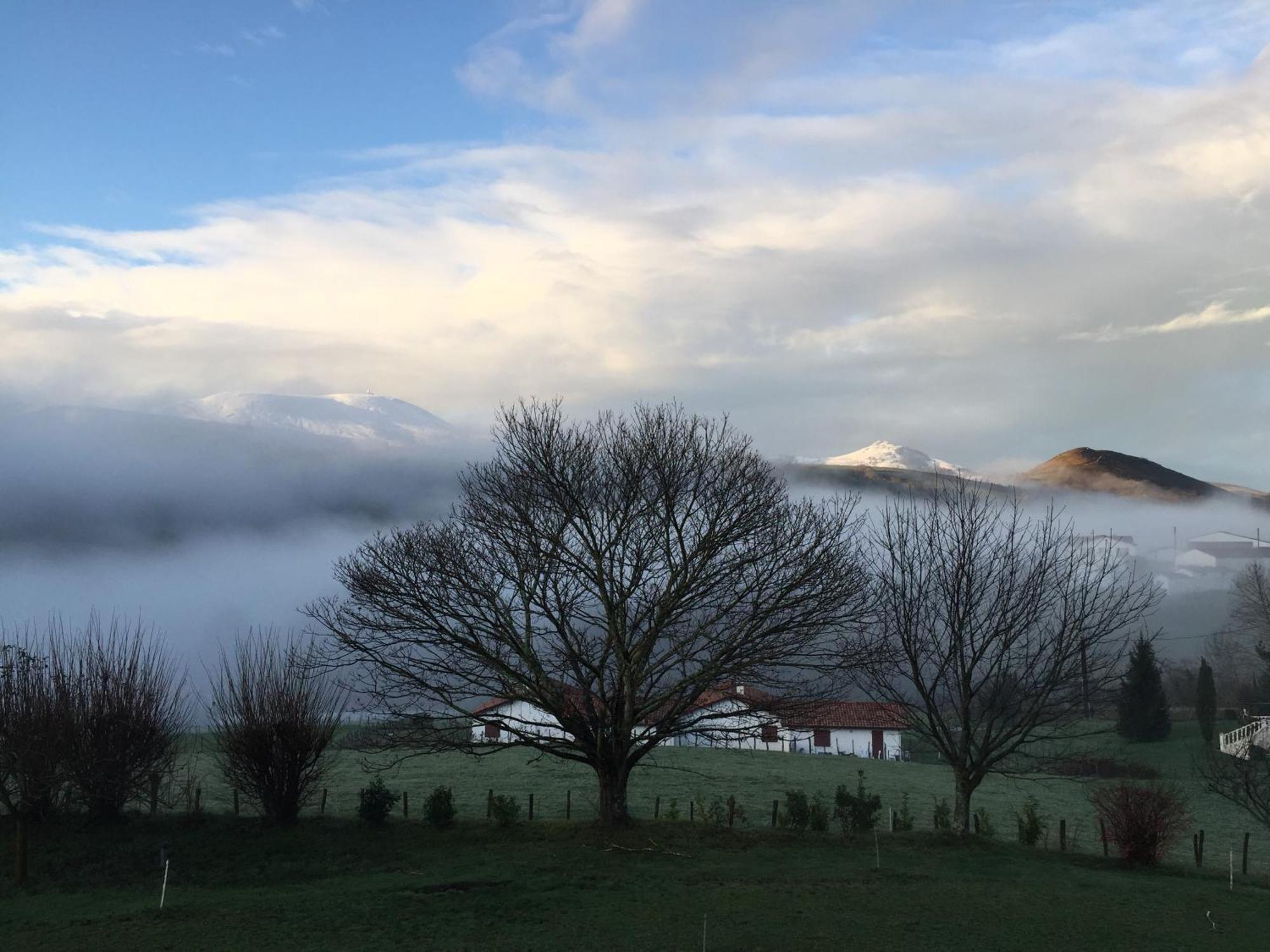 Baskoparadis I Eco-Gites I Calme I Vue I Anes I Jardin I Montagne I Nature Louhossoa Eksteriør billede