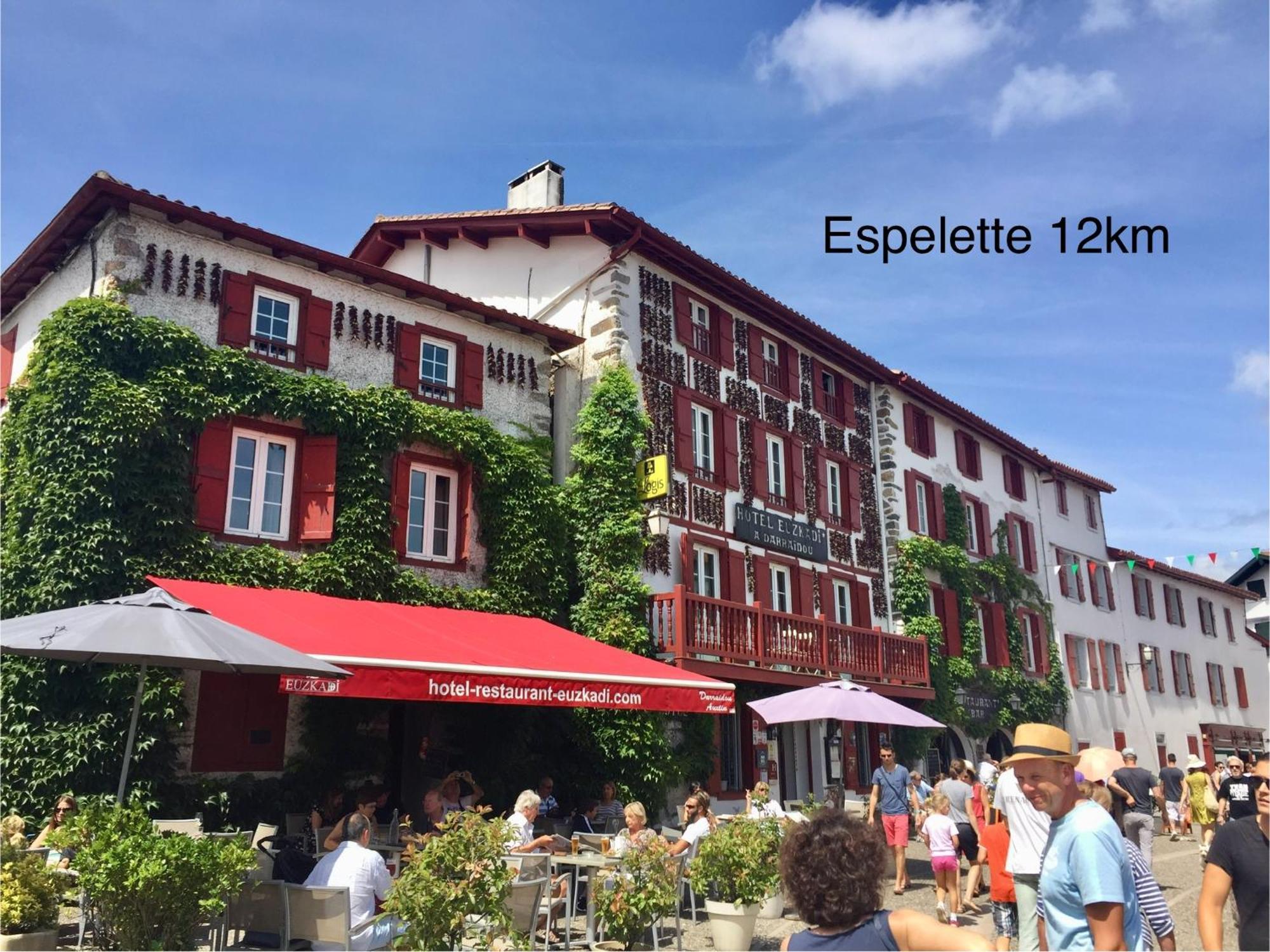 Baskoparadis I Eco-Gites I Calme I Vue I Anes I Jardin I Montagne I Nature Louhossoa Eksteriør billede