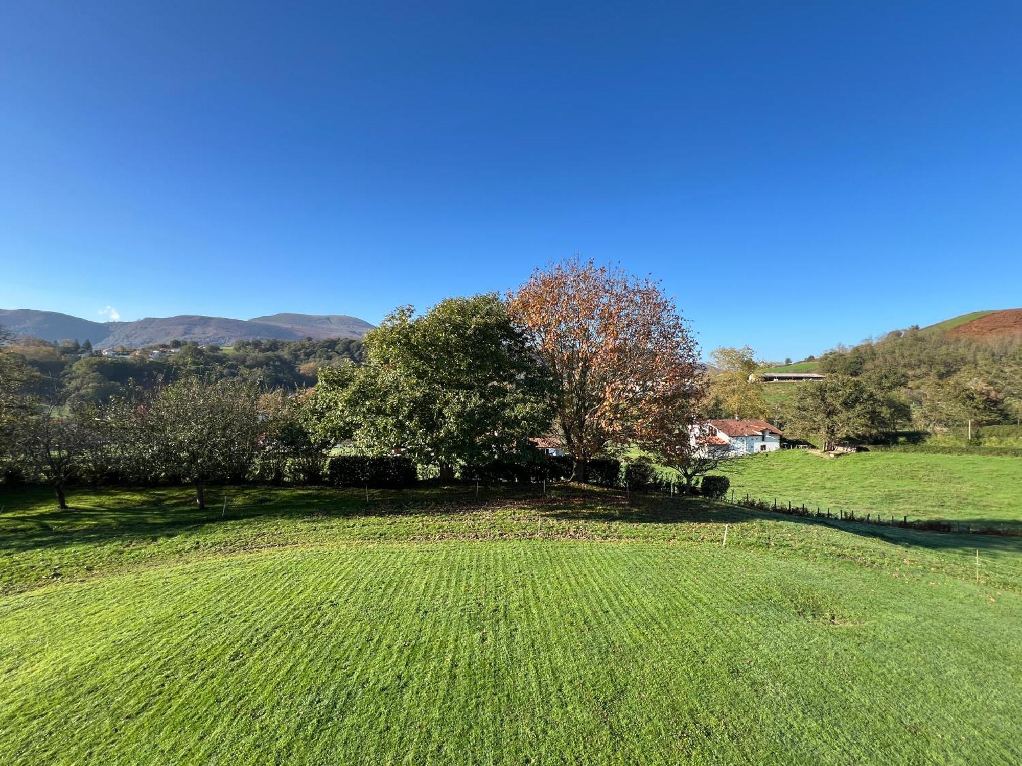 Baskoparadis I Eco-Gites I Calme I Vue I Anes I Jardin I Montagne I Nature Louhossoa Værelse billede