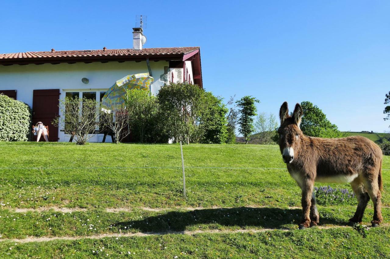 Baskoparadis I Eco-Gites I Calme I Vue I Anes I Jardin I Montagne I Nature Louhossoa Eksteriør billede