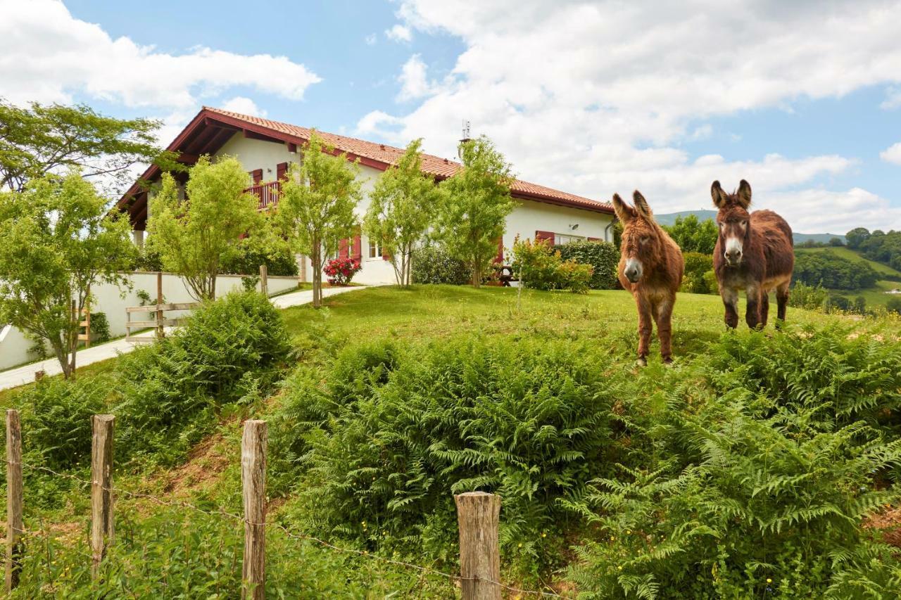 Baskoparadis I Eco-Gites I Calme I Vue I Anes I Jardin I Montagne I Nature Louhossoa Eksteriør billede